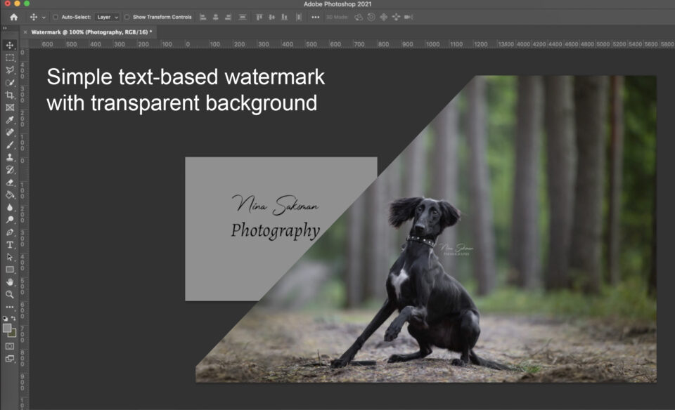 volume Sportman Verwarren Photoshop tutorials / Webshop is open - Nina Saksman Photography